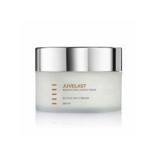 Активний денний крем для сухої шкіри обличчя Juvelast Active Day Cream Holy Land, 250 мл