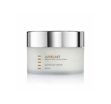 Активний денний крем для сухої шкіри обличчя Juvelast Active Day Cream Holy Land, 250 мл
